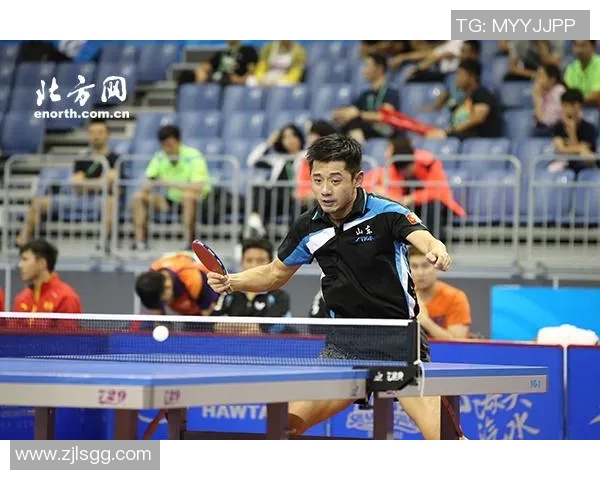 武汉乒乓球队的节奏与发展趋势深度解析及未来展望